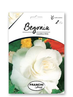 FKBG_061990