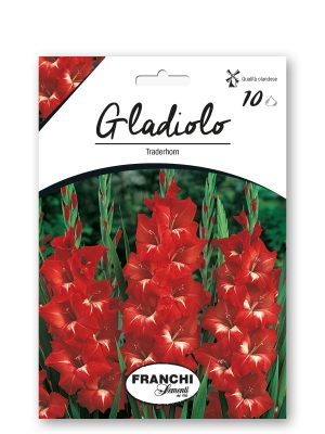 TRADERHORN - ROSSO/BIANCO