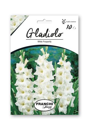 WHITE PROSPERITY - BIANCO
