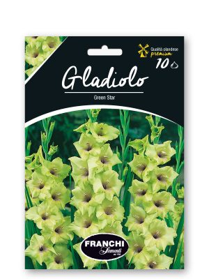 GREEN STAR - VERDE