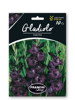 PURPLE FLORA - VIOLA