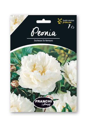 DUCHESSE DE NEMOURS - BIANCO