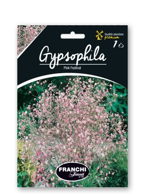 PINK FESTIVAL - ROSA