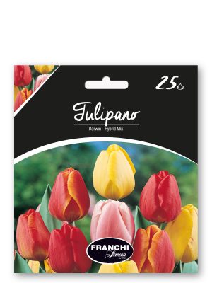 FKTLP053260