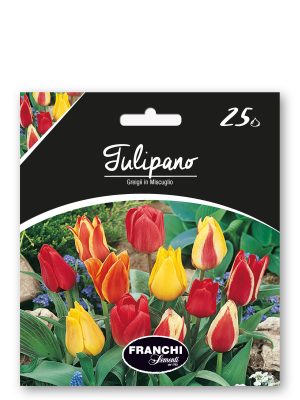 FKTLP053295