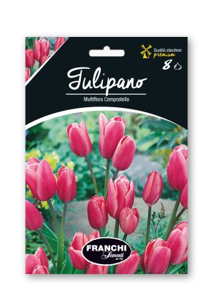 COMPOSTELLA - BIANCO/ROSA