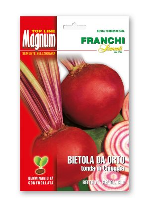 FMGM_11-13