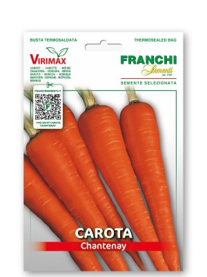 Carota Chantenay