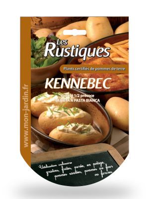 Patata Kennebeck