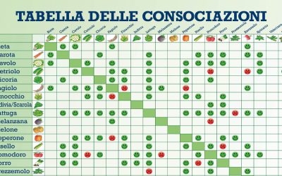 Gennaio tabella consociazioni