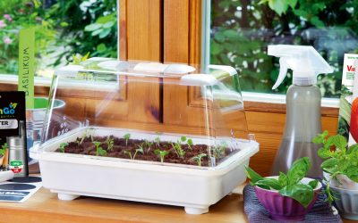 Piantine per orto e germinazione Franchi Sementi