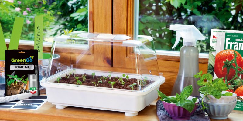 Piantine per orto e germinazione Franchi Sementi