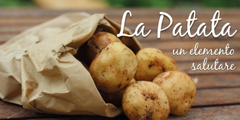 Patata