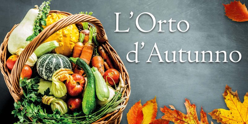 Immagine-articolo-orto-d'autunno-3