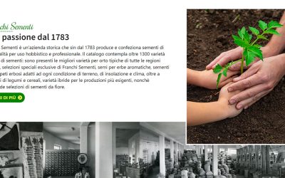 Screenshot-sito-2