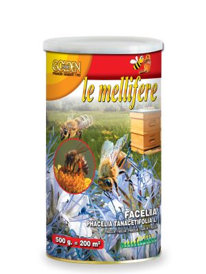 Facelia in barattolo da 500g