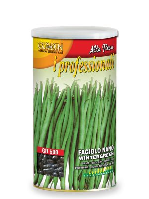 Fagiolo nano wintergreen