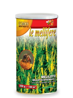 Melliloto in barattolo da 500g