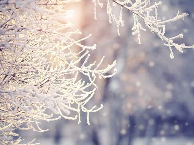 calendario semine Gennaio