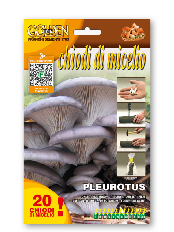 Pleurotus